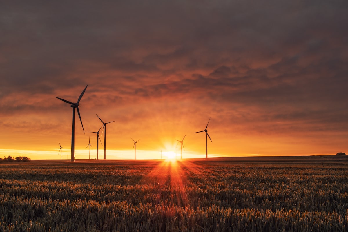 Renewable Energy Wind Farm